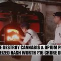 Old school war on drugs in India: politie verbrandt 'potente cannabis'