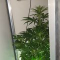 Test van Erik
