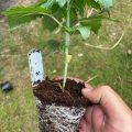 Test van Erik