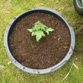 Alain Bollen - Het gedrocht van de Belgische wet inzake cannabis