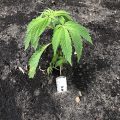 Test van Erik