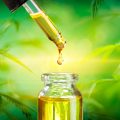 Medicinale cannabis • Mediwietsite Weekjournaal #22