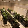 De onzin van het 'luie stoner' stereotype