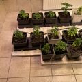 Test van Erik