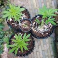 Test van Erik