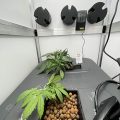 Test van Erik