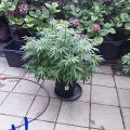 Test van Erik