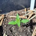 De beste anti-War on Drugs speech ooit