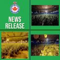Illegale wietkwekerij met 10.000 planten opgerold in 'legaal' Canada