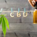 Debunk Donderdag • 9 CBD mythes ontrafeld en afgeserveerd!