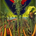 Grootste cannabis & kankeronderzoek ooit
