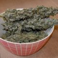 De beste cannabis kniptips van Dokter Groen