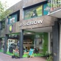 Na 8 jaar legalisering koopt slechts 27% in Uruguay zijn wiet legaal