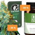 Sensi Seeds viert Halloween met wietzaden (-35%) en CBD (-50%)!