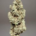 De beste anti-War on Drugs speech ooit