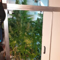 Vette trailer! Snoop & Wiz <i>on the high road</i>