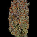 Zo stoned als Cheech & Chong