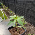 Test van Erik