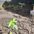 Doe jezelf een lol en hotbox je hoofd