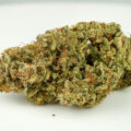 Terp Inspectors aan de Auto San Fernando Valley OG