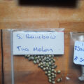 Mr.Veldman: Wietpas, toerist & shop