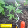 Test van Erik