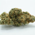 Terp Inspectors proeven de zomer met Sour Banana Sherbet