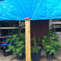 Vette trailer! Snoop & Wiz <i>on the high road</i>