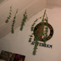 De beste anti-War on Drugs speech ooit