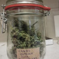 De beste anti-War on Drugs speech ooit