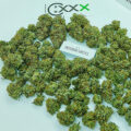 De 11 leukste stoner-videogames