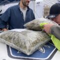 CNNBS @ Mary Jane Berlin - De 1e 100% legale cannabis expo!
