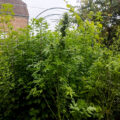 Test van Erik