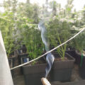De beste anti-War on Drugs speech ooit