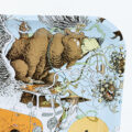 Mr.Veldman: Wietpas, toerist & shop