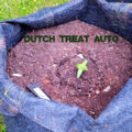 Test van Erik